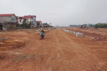 Biết gì BĐS Mai Vàng được giao hơn 1,1ha đất làm khu đô thị?