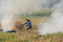 Phải dự báo sớm hiện tượng nghịch nhiệt để giảm nguồn phát thải