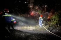 Nguy cơ cơ cháy rừng tại Bắc Ninh ở cấp nguy hiểm