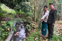 Chủ một cơ sở chăn nuôi bị phạt 107 triệu vì thải gây ô nhiễm môi trường