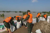 Các cán bộ, chiến sĩ được huy động ứng cứu, dồn sức giữ đê Hợp Thịnh.