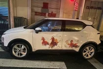 Khởi tố gã đàn ông đi ô tô, lừa tiền của nhiều shipper