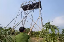 Công an Lào Cai xử lý nghiêm việc rao bán chim hoang dã trái phép