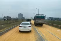 CSGT xử lý tài xế làm rơi 3 tấn ngô hạt trên đường cao tốc