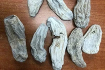 Hà Nội bắt nhóm người lừa bán 'thuốc gia truyền' cho bệnh nhân 