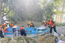 Xúc động Công an xã ở Bắc Ninh giúp dân gặt lúa vượt lũ