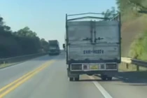 CSGT xử lý xe tải bị gọi ‘chim mồi’ trên cao tốc Nội Bài - Lào Cai