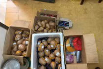 Công an Phú Thọ bắt giữ đối tượng sản xuất gần 30kg pháo hoa nổ trái phép