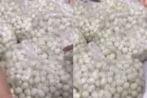 Doanh nghiệp nào cung cấp trứng cút bốc mùi cho Tiểu học Cự Khê?