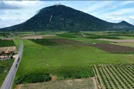 Gói thầu Sở Xây dựng Tây Ninh: Vì sao chỉ Công ty Tân Thuận Hà TN tham dự?