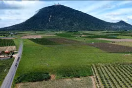 Gói thầu Sở Xây dựng Tây Ninh: Vì sao chỉ Công ty Tân Thuận Hà TN tham dự?