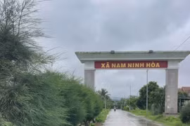 Xã Nam Ninh Hòa được hình thành từ việc sắp xếp toàn bộ diện tích tự nhiên, quy mô dân số của các xã Ninh Lộc, Ninh Ích, Ninh Hưng và Ninh Tân.