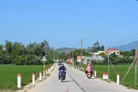 Gói thầu XL01 tại BQLDA khu vực Bình Long: Cuộc đua song mã và những ẩn số