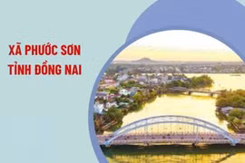 Đồng Nai: Gói thầu hơn 2 tỷ tại xã Phước Sơn về tay Tân Hoàng Minh