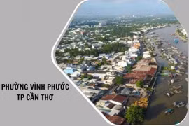 Cần Thơ: Vì sao nhà thầu bỏ giá thấp vẫn trượt thầu tại phường Vĩnh Phước?