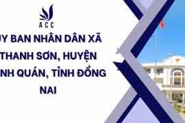 Phước Sơn: Cạnh tranh giá tại gói đèn NLMT, bài toán năng lực kỹ thuật