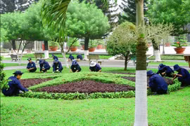 Phường Ninh Kiều: Vì sao nhà thầu bỏ giá thấp hơn 1,3 tỷ đồng vẫn bị loại?