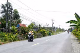 Gói thầu 10,7 tỷ ở Tây Ninh: Một nhà thầu tham dự, tỷ lệ tiết kiệm dưới 1%? 