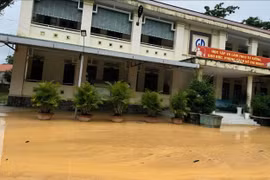 Gói thầu kè 8,7 tỷ tại Trường Tiểu học Quang Trung: Một liên danh trúng thầu