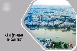 Đấu thầu xã Hiệp Hưng: Đối thủ của Công ty HTP trượt thầu vì lỗi "sơ đẳng" 