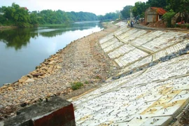 Công ty Ba Vũ trúng thầu tại BQLDA khu vực Trà Vinh: Đối thủ trượt thầu vì lỗi sơ đẳng