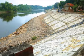 Công ty Ba Vũ trúng thầu tại BQLDA khu vực Trà Vinh: Đối thủ trượt thầu vì lỗi sơ đẳng