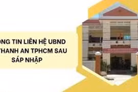 Gói thầu hơn 3 tỷ nâng cấp đường tại xã Thanh An chỉ có một nhà thầu