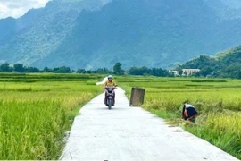 Gói thầu 1,7 tỷ ở Khánh Hòa: Chỉ định thầu, tiết kiệm 0 đồng?