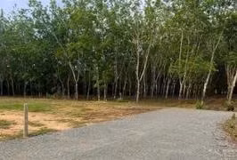 Công ty Thanh Cao Trí: Tỷ lệ trúng thầu năm 2025 gần như tuyệt đối?