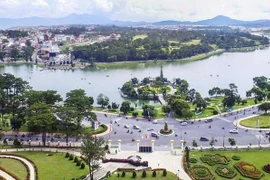 Công ty Đô thị Đà Lạt: Năng lực và những dấu hỏi từ các gói thầu "quen mặt"