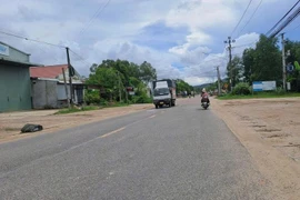 Gia Lai: Tín Thành trượt gói sửa chữa Quốc lộ 19C vì thiếu hụt nhân sự chủ chốt