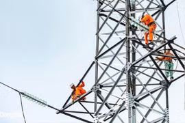 Loại đối thủ tại bước kỹ thuật, Năng lượng Việt “về đích” gói thầu 7,2 tỷ đồng