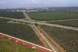 Đồng Nai: Công ty Bá Lộc trúng gói thầu 31 tỷ đồng, lộ diện nhiều sai sót của đối thủ