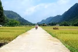 Khánh Hòa: Hoàng Việt Bảo trúng gói thầu xây lắp hơn 3,4 tỷ, tiết kiệm 1,49%