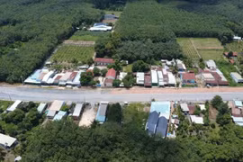 Công ty Đặng Minh Quân trúng thầu dày đặc tại Tây Ninh: Dấu hỏi tính cạnh tranh? [Kỳ 1]