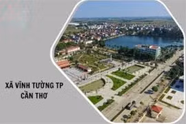 TP Cần Thơ: Nhiều gói thầu giao thông tiết kiệm thấp về tay Công ty Thái Hưng Thịnh [Kỳ 1]