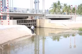 Ba nhà thầu cạnh tranh tại gói thầu cống Giồng Trôm, ưu thế nghiêng về giá