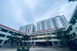 Gói thầu 1,97 tỷ đồng tại Trường Bùi Minh Trực: Vì sao chỉ định thầu?