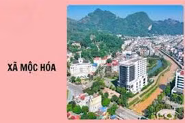 Xã Mộc Hóa: Hai nhà thầu nội tỉnh "so găng" tại gói thầu láng nhựa đường KT3 