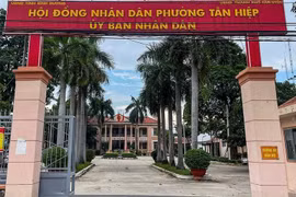 TP HCM: Liên danh Phú Mỹ Trung - Trường Sơn trúng thầu sát giá tại phường Tân Hiệp [Kỳ 1]