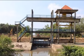 Gói thầu tại Chi cục Thủy lợi An Giang: 3 nhà thầu tham dự, tiết kiệm 2,28%