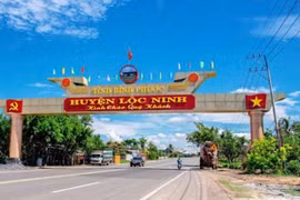 Xây dựng Hoàng Sang: Năm 2025 bội thu gói thầu, đối thủ trượt vì "quên" bản vẽ