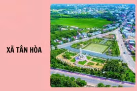 Tân Hòa, Tây Ninh: Vì sao Liên danh SNO.11 bị loại tại gói thầu làm đường hơn 6 tỷ? 