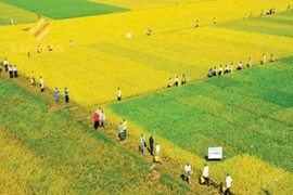 Quảng Ngãi: Công ty Quốc Tiến trúng thầu hơn 7 tỷ tại xã Mỏ Cày, mức tiết kiệm 0,17%