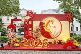 Công ty Đô thị Ninh Hòa trúng 2 gói trang trí Tết gần 3 tỷ trong một ngày