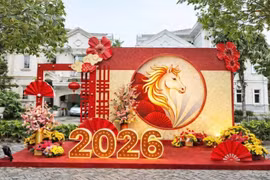 Công ty Đô thị Ninh Hòa trúng 2 gói trang trí Tết gần 3 tỷ trong một ngày