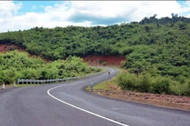 Vạn Thịnh Đắk Nông thắng thầu tại xã Quảng Sơn: Những đối thủ bị loại vì đâu?