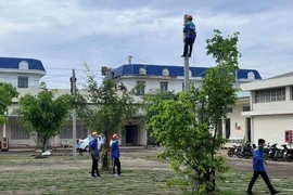 Gói thầu tại Trường Trung cấp Công nghệ Bến Tre: Tỷ lệ tiết kiệm "vừa đủ" mức tối thiểu?