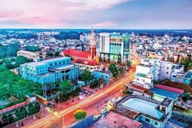 Đồng Nai: Tìm nhà thầu thi công Nâng cấp đường Duy Tân