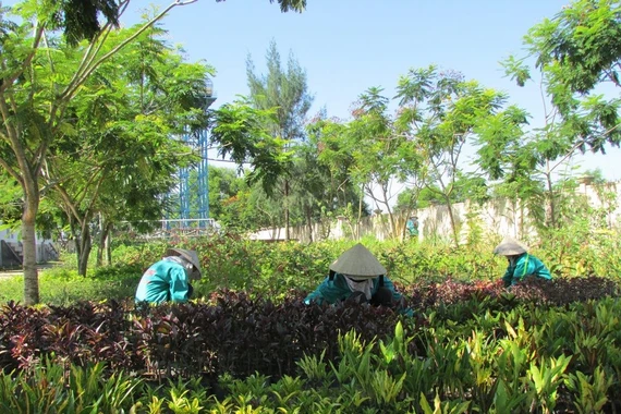 Mạo Khê: Làm rõ hồ sơ mời thầu gói chăm sóc cây xanh trị giá hơn 7,3 tỷ đồng 